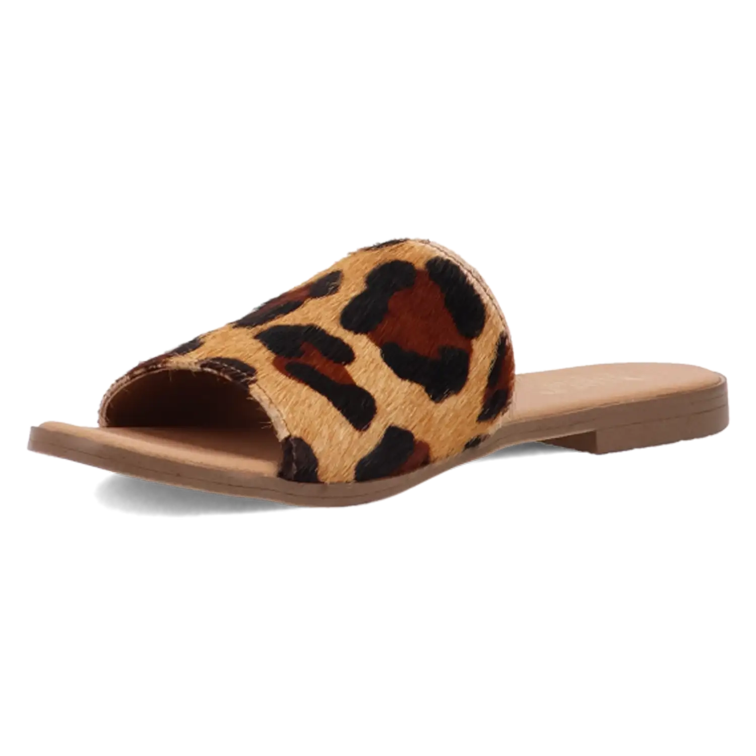 Dingo Tabby - Women's Sandals