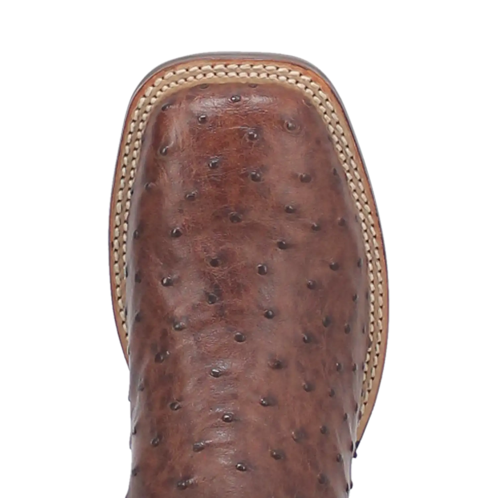 Dan Post Alamosa (Chocolate/Brown) - Men's Ostrich Skin Leather Cowboy Boots