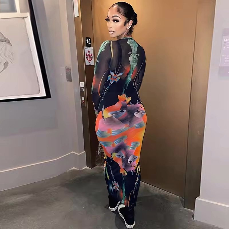 The Vivid Illusion Dress