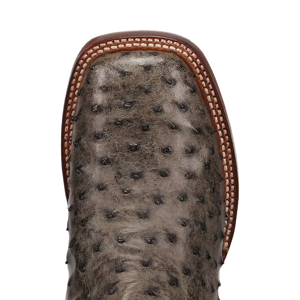 Dan Post Alamosa (Grey/Black)  - Men's Ostrich Skin Leather Cowboy Boots