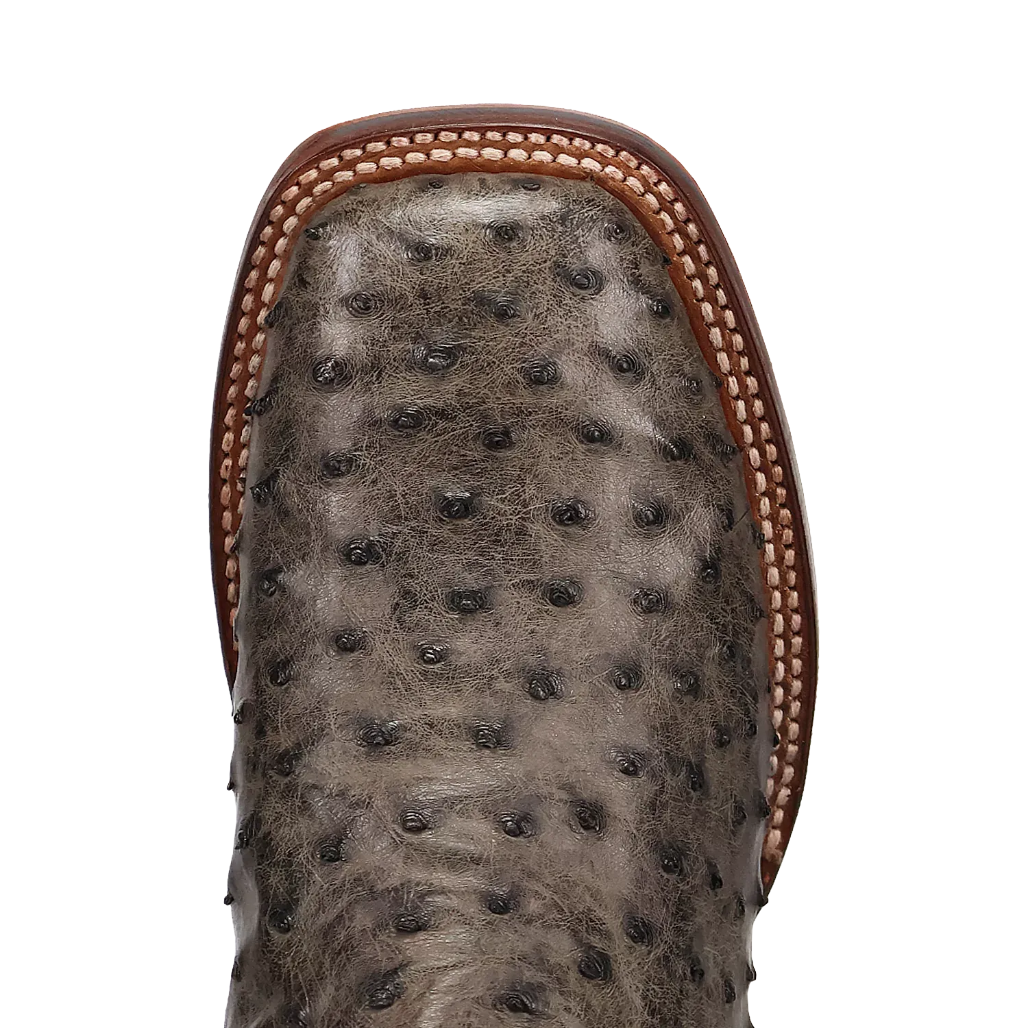 Dan Post Alamosa (Grey/Black)  - Men's Ostrich Skin Leather Cowboy Boots